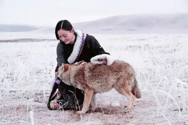 人和动物的本质区别就是人类懂得控制自己的感情（人和动物的本质区别是人具有主观能动性）