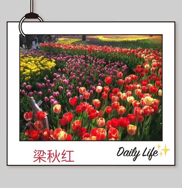 晚会主持词结束语（幼儿园晚会主持词）