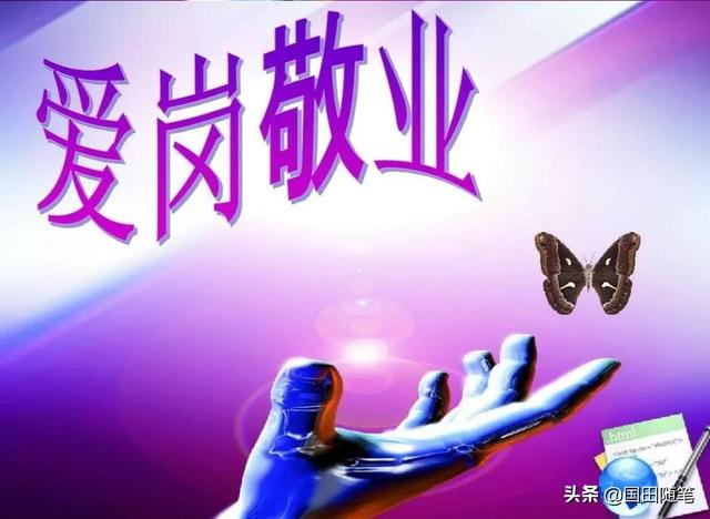 教师奉献精神的素材（幼儿教师奉献精神）