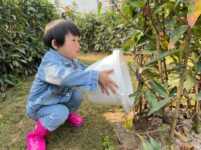 幼儿园植树节活动方案及总结（幼儿园植树节活动方案小班）