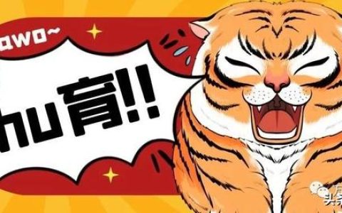 骄傲的大公鸡故事教案（故事《骄傲的大公鸡》）
