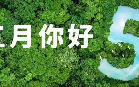 部队个人简介的自我介绍（个人简介的自我介绍 小学生200字）