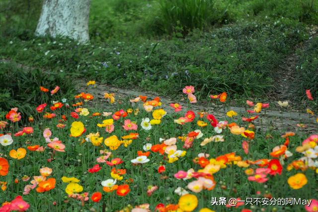 城市风景图片 街头（城市风景夏日景色）