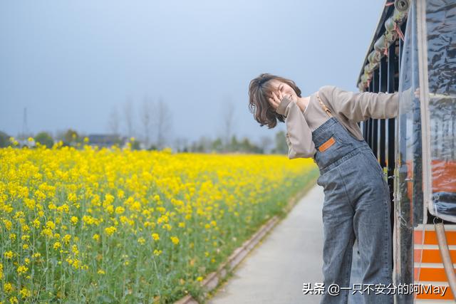 城市风景图片 街头（城市风景夏日景色）