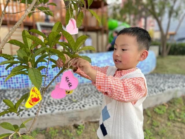 幼儿园植树节活动方案及总结（幼儿园植树节活动方案小班）