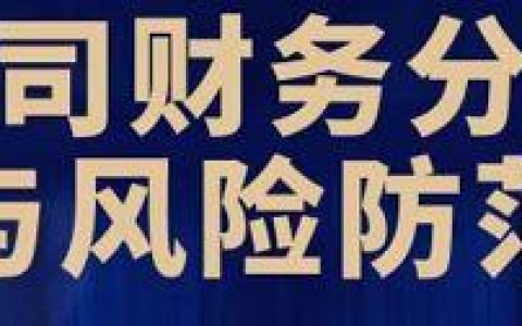 如何写公司的财务分析（什么公司的财务报告分析好写）