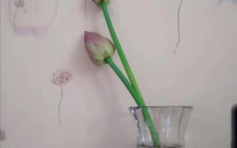 姐姐的儿子叫我什么（姐姐的腿不是腿姐姐的腰不是腰这是什么歌）