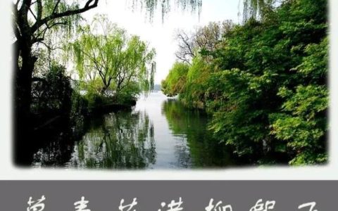 骄傲的大公鸡故事视频（骄傲的大公鸡故事告诉我们什么道理）