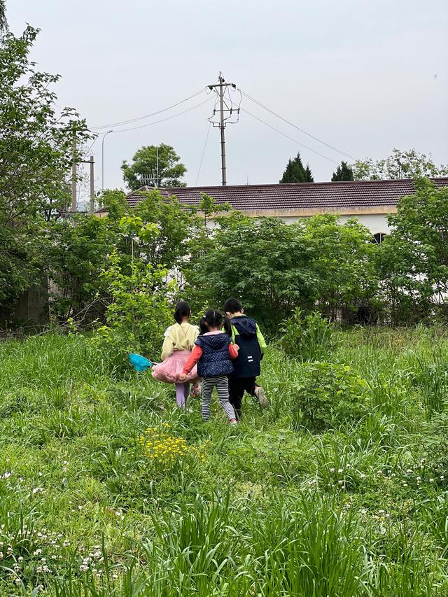 儿童行为心理学王银杰（儿童行为心理学在线阅读）