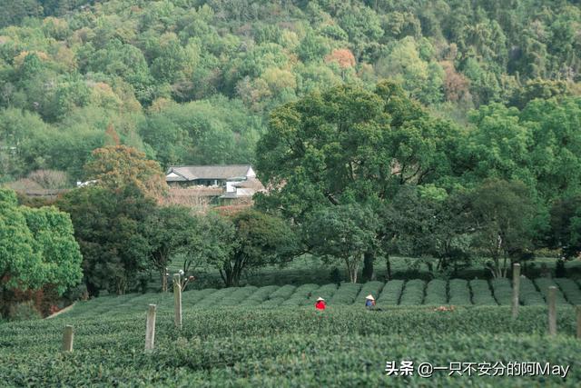 城市风景图片 街头（城市风景夏日景色）