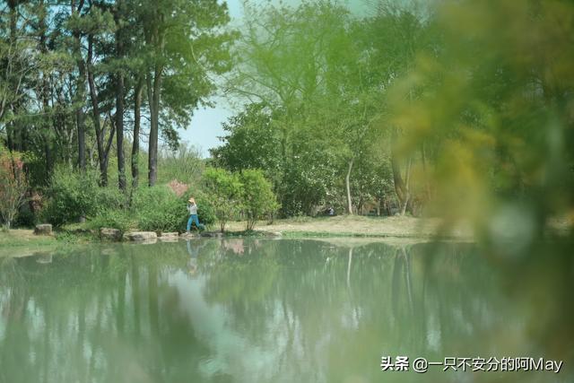 城市风景图片 街头（城市风景夏日景色）