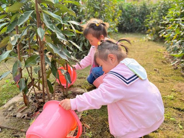 幼儿园植树节活动方案及总结（幼儿园植树节活动方案小班）