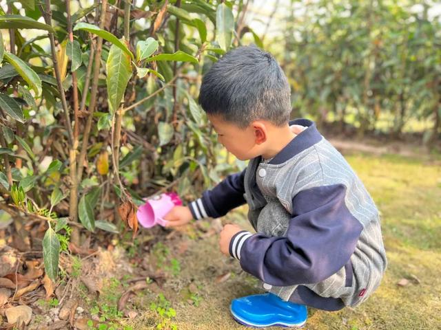 幼儿园植树节活动方案及总结（幼儿园植树节活动方案小班）