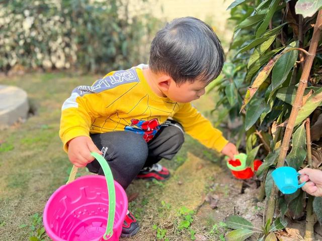 幼儿园植树节活动方案及总结（幼儿园植树节活动方案小班）