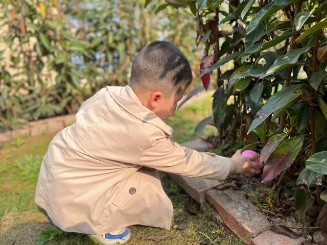 幼儿园植树节活动方案及总结（幼儿园植树节活动方案小班）