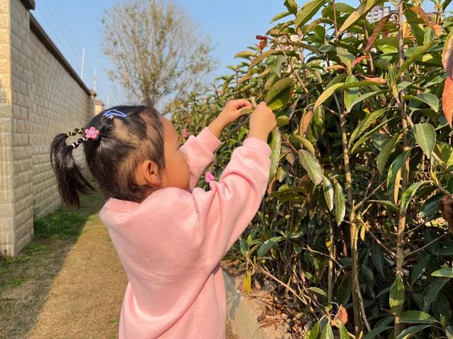 幼儿园植树节活动方案及总结（幼儿园植树节活动方案小班）