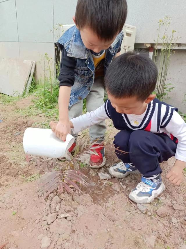 幼儿园植树节活动方案及总结（幼儿园植树节活动方案小班）