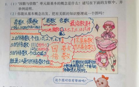 数学小论文五年级200字（数学小论文五年级范文）