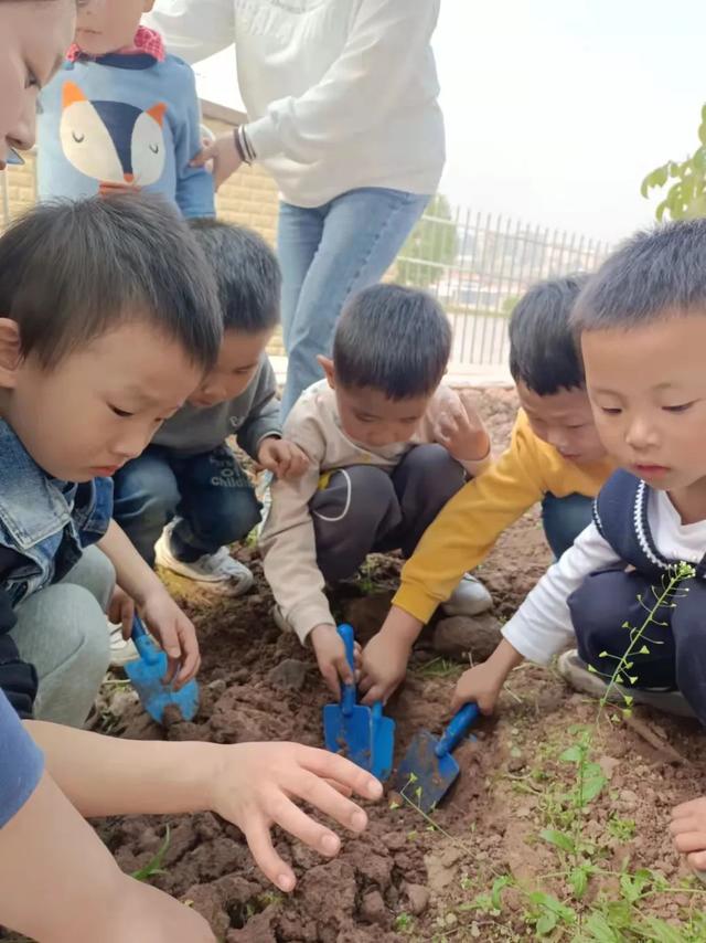 幼儿园植树节活动方案及总结（幼儿园植树节活动方案小班）