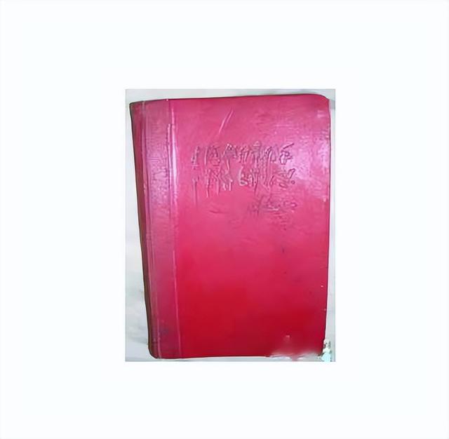 初中叙事文章600字（生活随笔600字初中叙事）