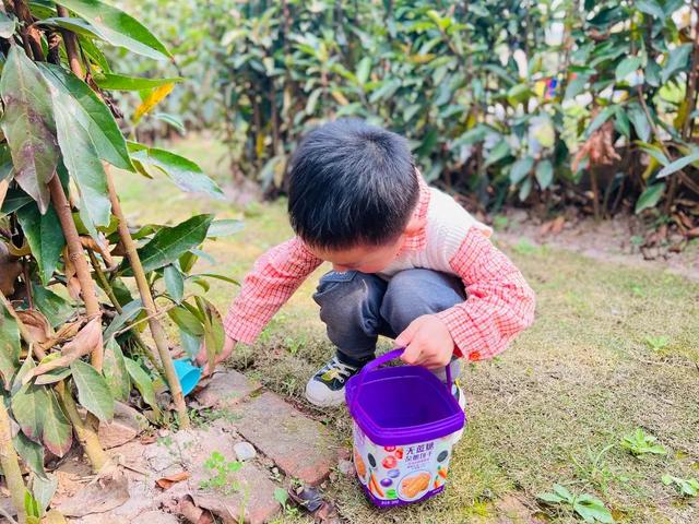 幼儿园植树节活动方案及总结（幼儿园植树节活动方案小班）