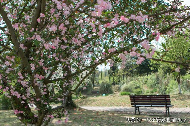 城市风景图片 街头（城市风景夏日景色）