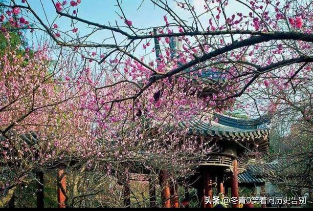 高中三年自我总结100字以内（高中三年自我总结300字）
