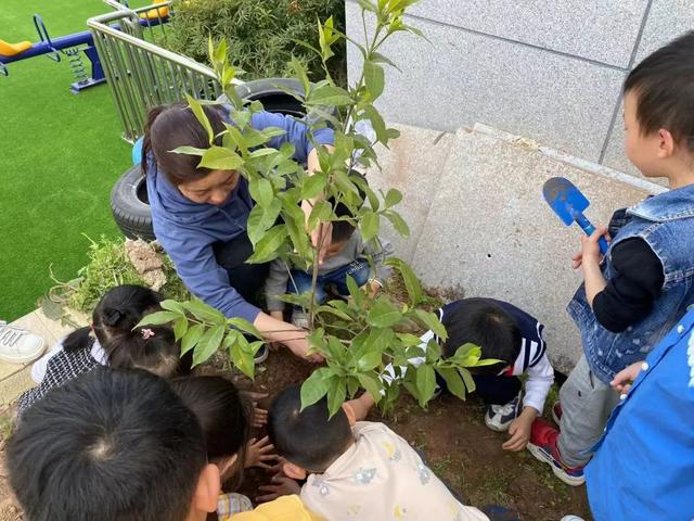 幼儿园植树节活动方案及总结（幼儿园植树节活动方案小班）