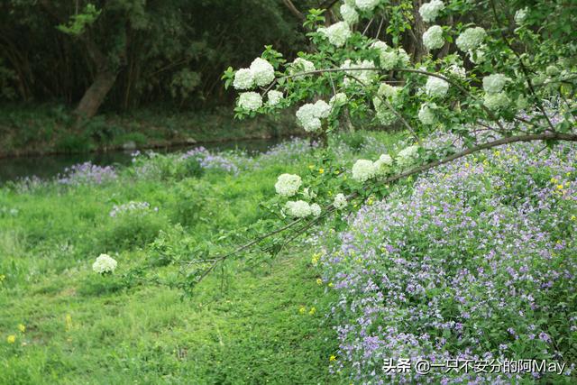 城市风景图片 街头（城市风景夏日景色）