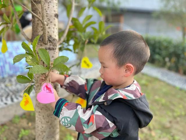 幼儿园植树节活动方案及总结（幼儿园植树节活动方案小班）