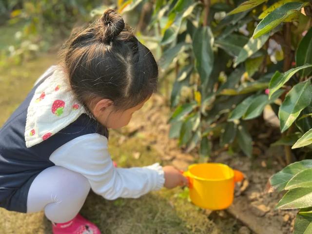 幼儿园植树节活动方案及总结（幼儿园植树节活动方案小班）