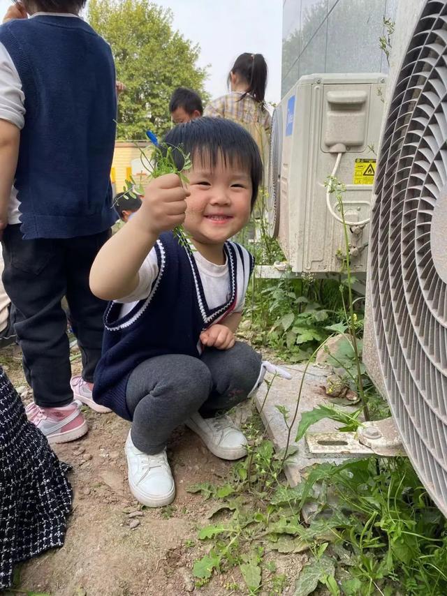 幼儿园植树节活动方案及总结（幼儿园植树节活动方案小班）