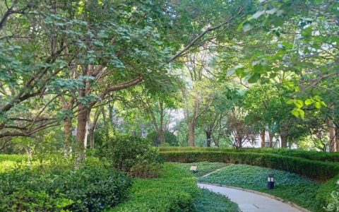 检讨书1000字关于犯错写给女朋友作爱（检讨书1000字关于犯错写给女朋友认真没有甜言蜜语）