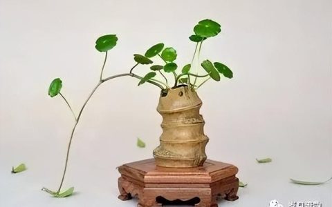 散文随笔精选写生活的（散文随笔精选大全 经典版）