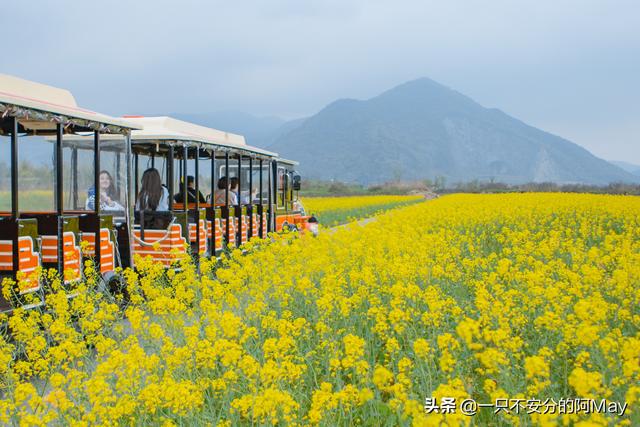 城市风景图片 街头（城市风景夏日景色）