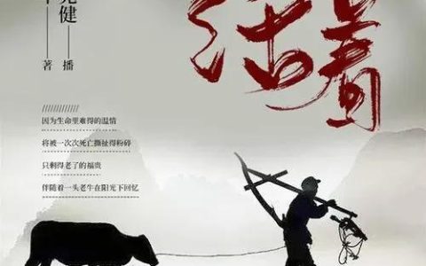 《》读后感（读后感800字）