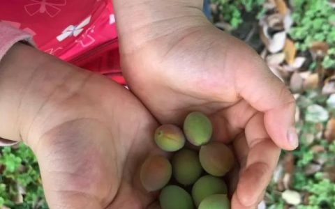 如何因材施教提高教学质量幼儿园（如何因材施教提高教学质量培训）