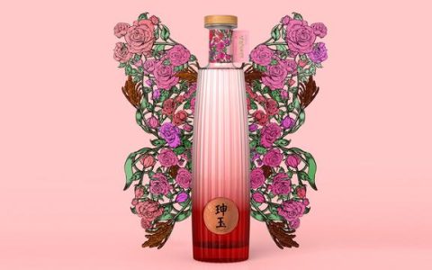 包装设计说明模板100字（包装设计说明模板200字）