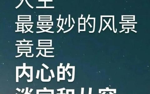 成功者的英文怎么说（成功者的英文是什么）