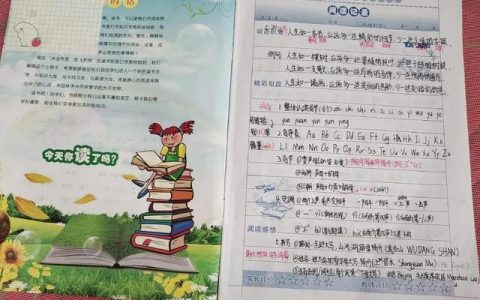 六年级读书笔记摘抄大全（六年级读书笔记200字）