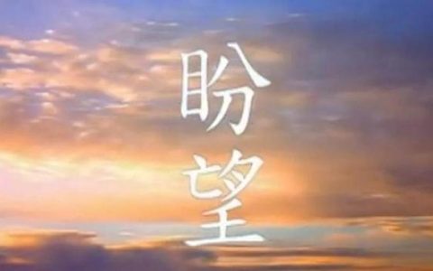 盼望的作文450字六年级（盼望的作文600字）