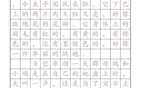我喜欢的小动物作文150字（我喜欢的小动物作文300字）