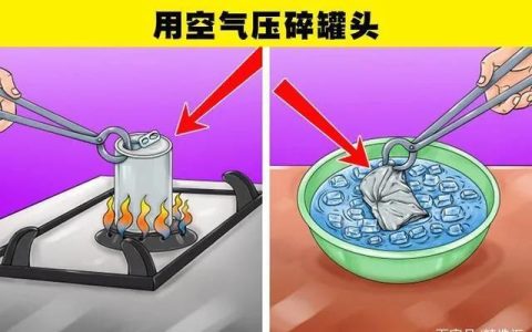 我做了一项小实验作文300字三年级（我做了一项小实验作文）