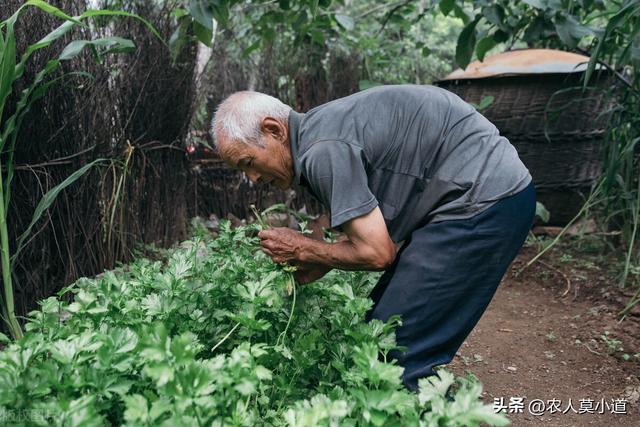 贫困户申请理由怎么写简短（贫困户申请需要什么材料）