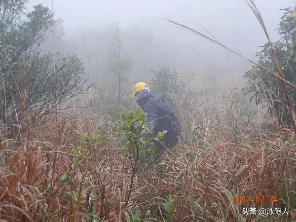 爬山作文400字四年级，第一次爬山作文400字四年级！