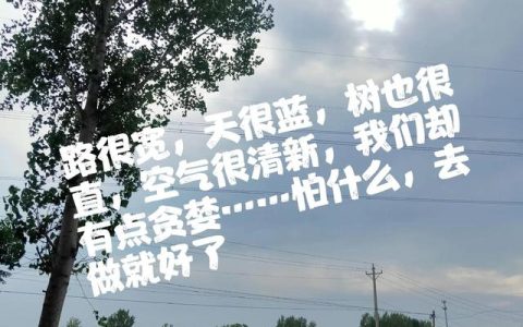 风景这边独好作文400字左右，风景这边独好作文400字左右五年级