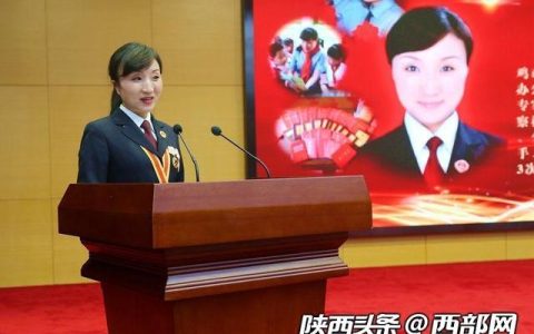 不止是颗菜，不止是颗菜全部小说