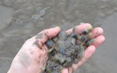 二年级暑假趣事100字怎么写，二年级暑假趣事100字二年级！