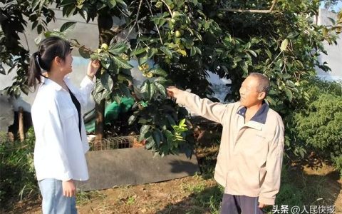 上鞋不用锥子什么意思，上鞋不用锥子的