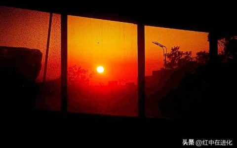 贪图安逸是什么意思，贪图安逸是什么意思